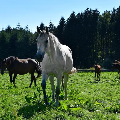 Unsere Infrastruktur - K-Stables