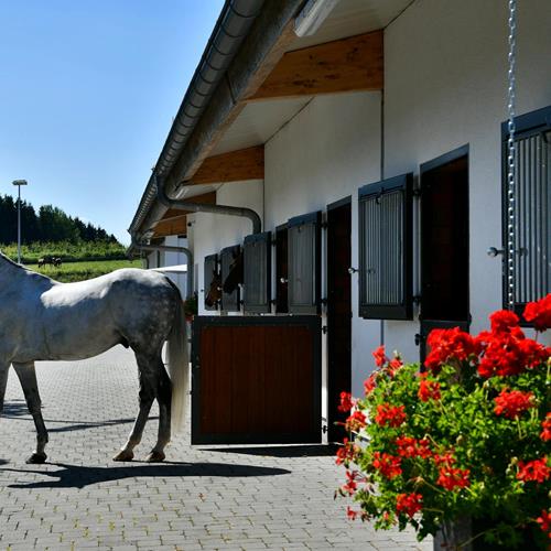 Unsere Infrastruktur - K-Stables