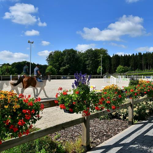 Die Entstehung eines Gestüts im Norden Luxemburgs