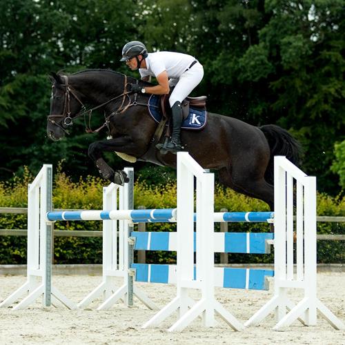 Training und Turnierbetrieb