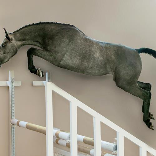 Training und Turnierbetrieb